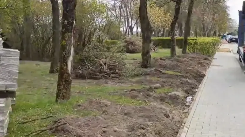 В Гродно продолжают реконструировать сквер на Дарвина. Жители домов жалуются на вырубку деревьев и отсутствие проекта