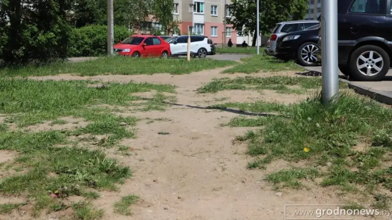 Виноваты пешеходы или проектировщики? Гродненка пожаловалась на вытоптанный газон - власти предложили штрафы