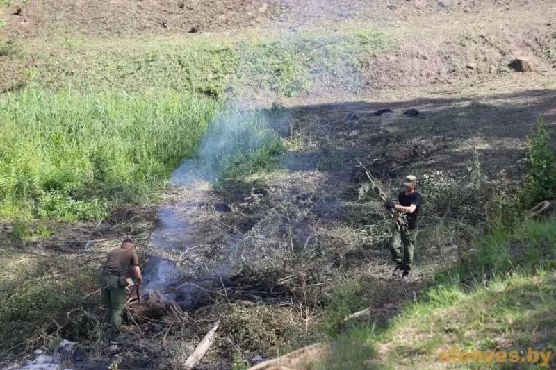 У разгар лета ў Слоніме закрываюць возера — і заадно высякаюць дрэвы