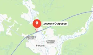 Деревня Островцы на карте. Скриншот: Яндекс.Карты