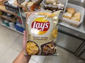 Гродненцы охотятся за Lay’s со вкусом грибов и сметаны — одни перепродают, другие за это ругают Гродненцы охотятся за Lay’s со вкусом грибов и сметаны — одни перепродают, другие за это ругают
