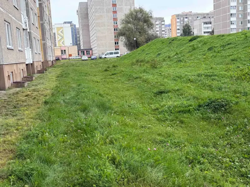 Гродненец в соцсетях пожаловался на мусор у общежития — проблему решили быстро